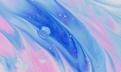 Featured image of post Vector Quatinized